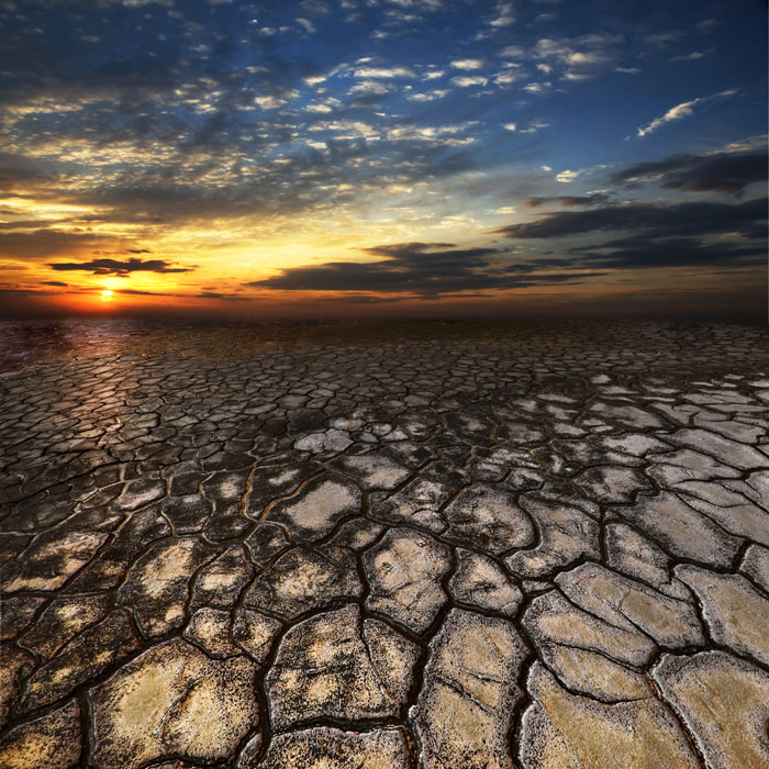 Skin of Donbass | dusk, steppe