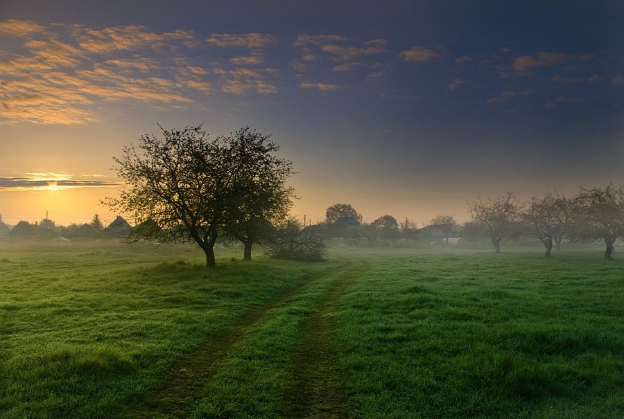 Sunrise in may | mist, sunrise, pathway