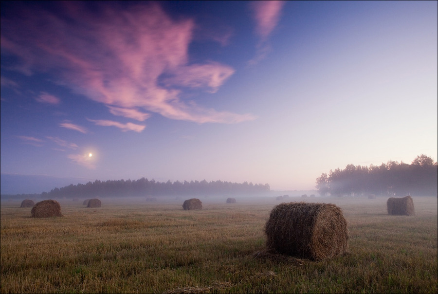 In the fields | haze, dusk, field, haystack