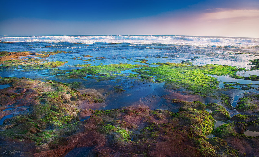 Planet Earth | rocks, sea, surf