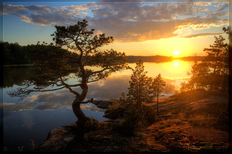 The northern sun was setting | sunset, reflection, river, sun, pine