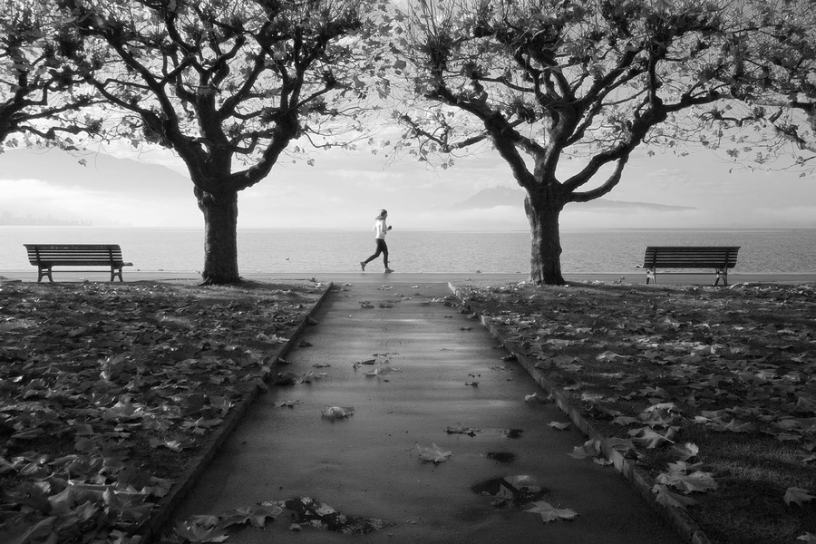 Autumn marathon | alley, people, sea, autumn, black and white 