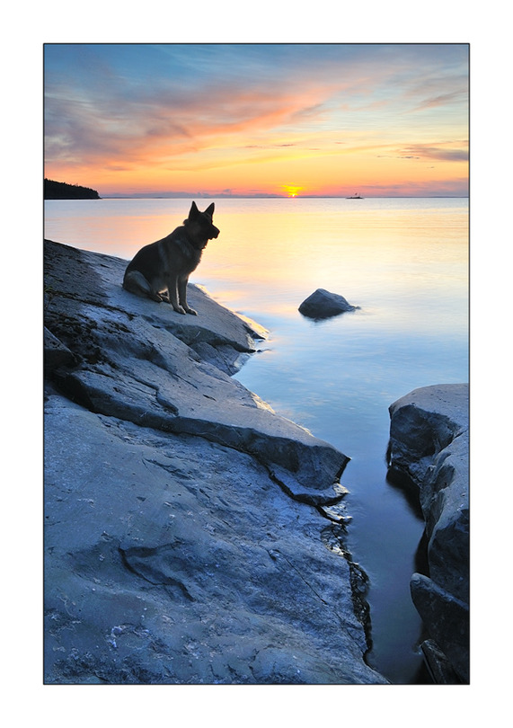 Listening to the silence | rock, lake, sunset, animals