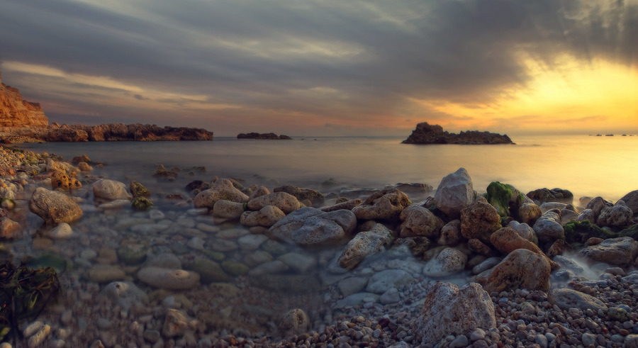 Life of the rocks | sunrise, seashore, sea, rocks