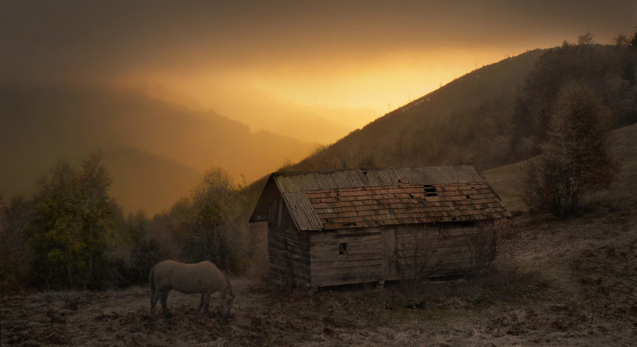 Carpathian evenings | dusk, animals, house, mountains, evening