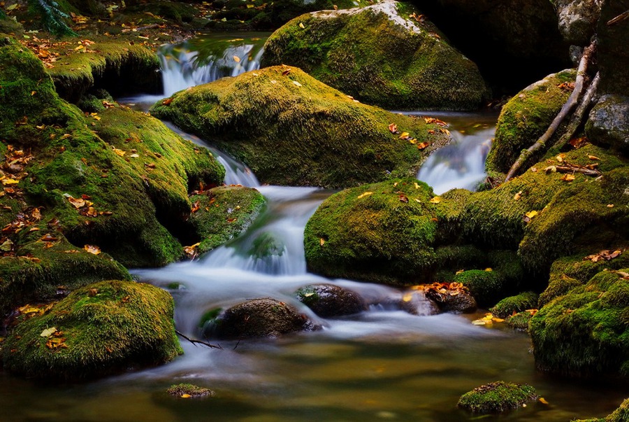 Mountain creek | moss, river, rocks
