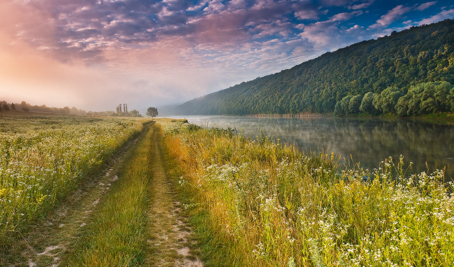 Dreaming of a colourful summer | river, field, summer