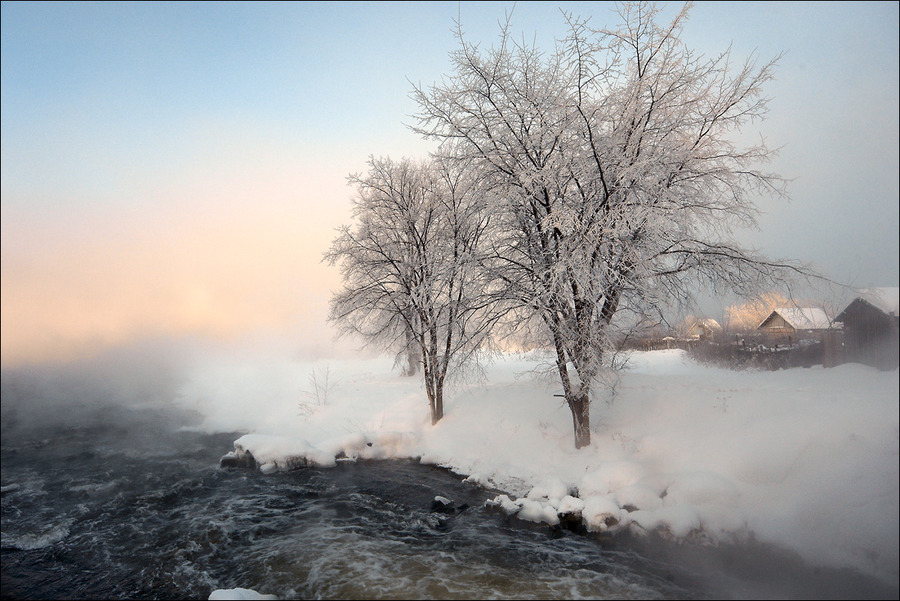 The floating light | village, trees, winter, hoarfrost, river, snow