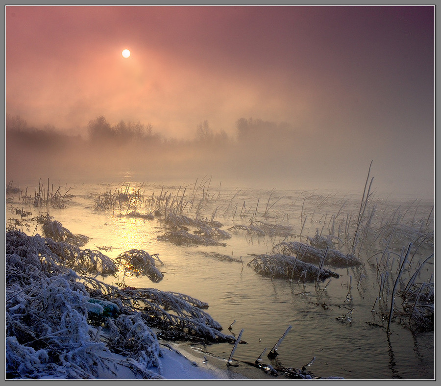 The spring is close | winter, hoarfrost, river, sun, fog