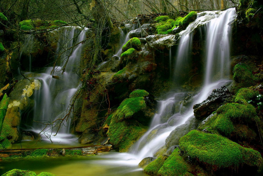 Spring Euphoria | waterfall, green, stones
