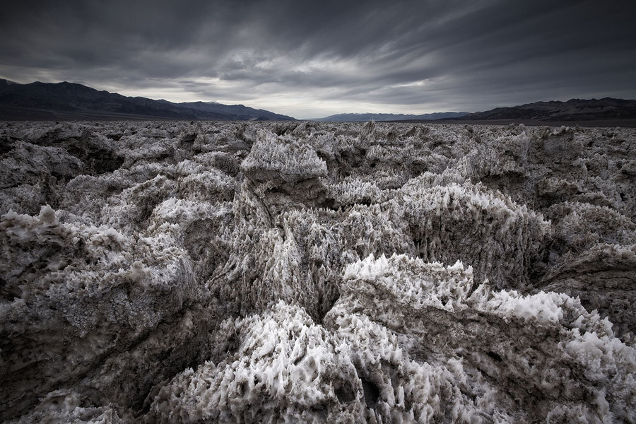 Tiger Woods' dreams | desert, rendering