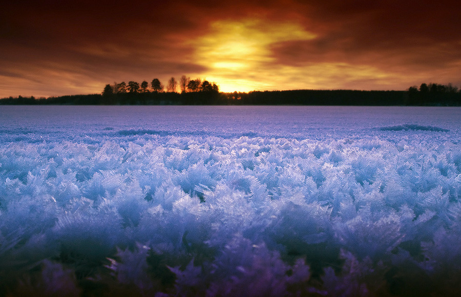 January sunset at Vuoksa | dusk, silhouette, snow