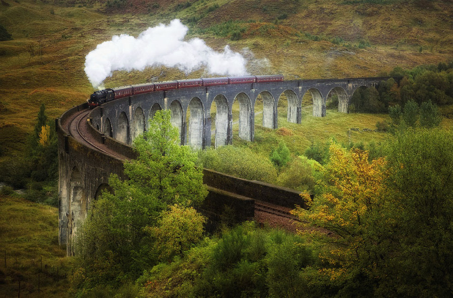 To Hogwarts | forest, bridge