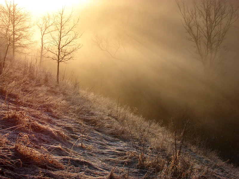 Tangible light | sunlight, fog