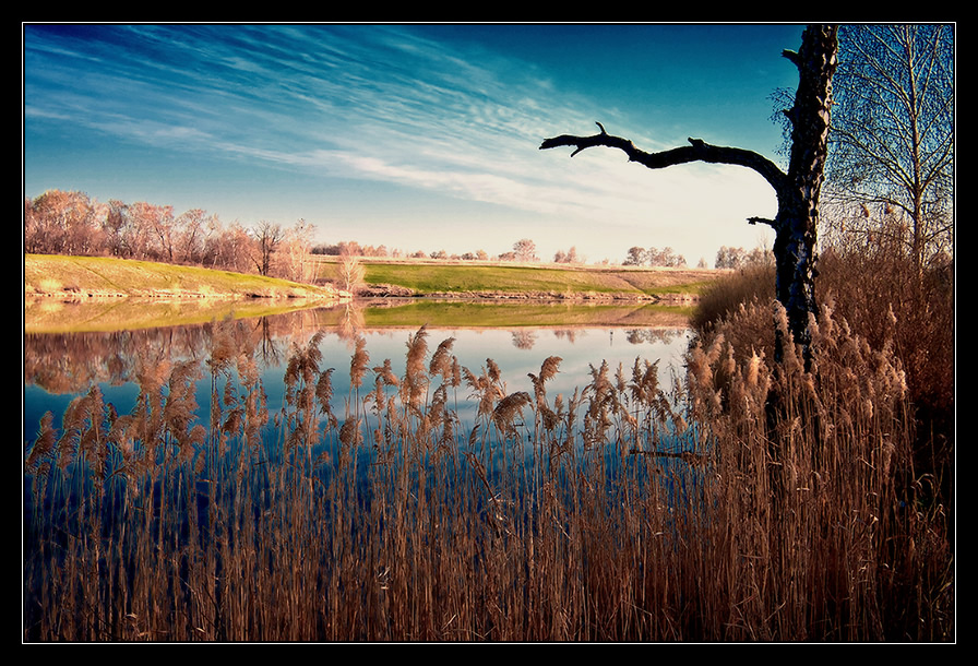 The return of colour | reflection, lake, rush