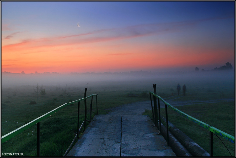 Onwards | fog, dawn, bridge