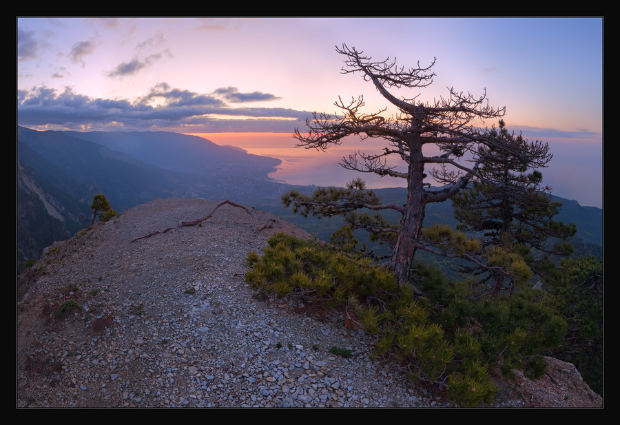 Morning above Yalta | rock, dawn, sea, tree