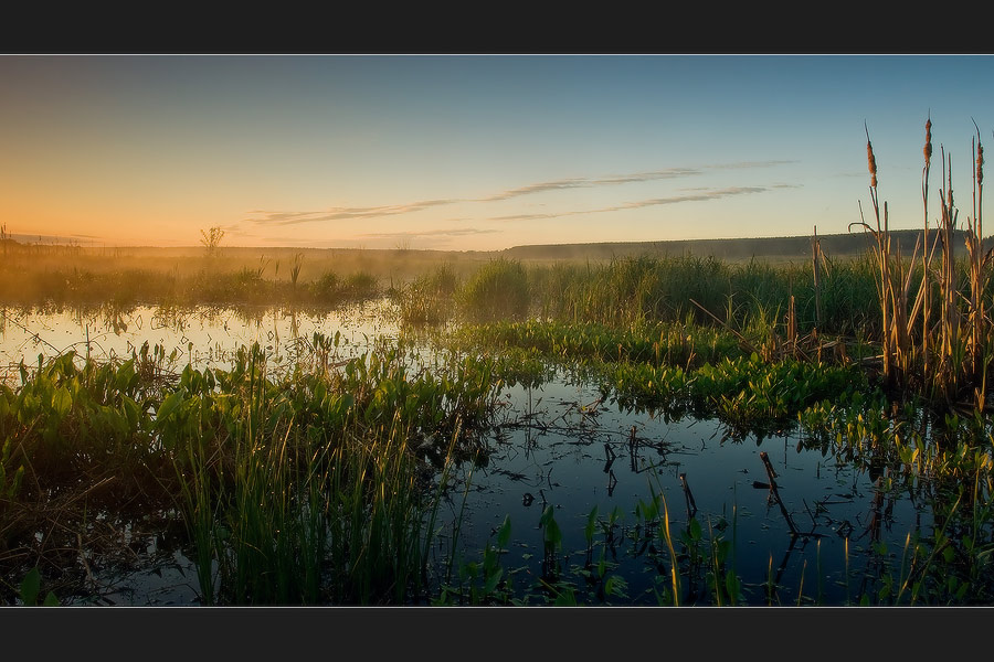 Sunrise at the bog | fog, river, rush