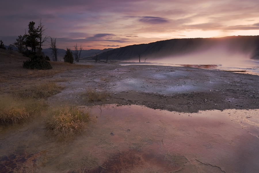 Nature's cataclysms | field, haze, swamp