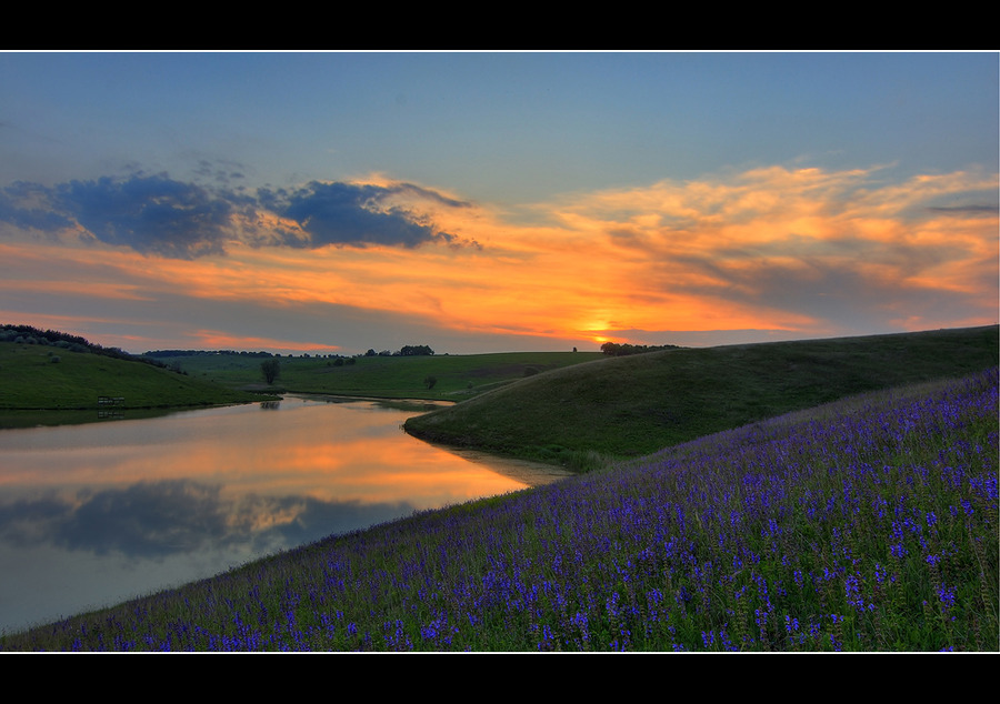 Evening...suburban... | flowers, evening, river