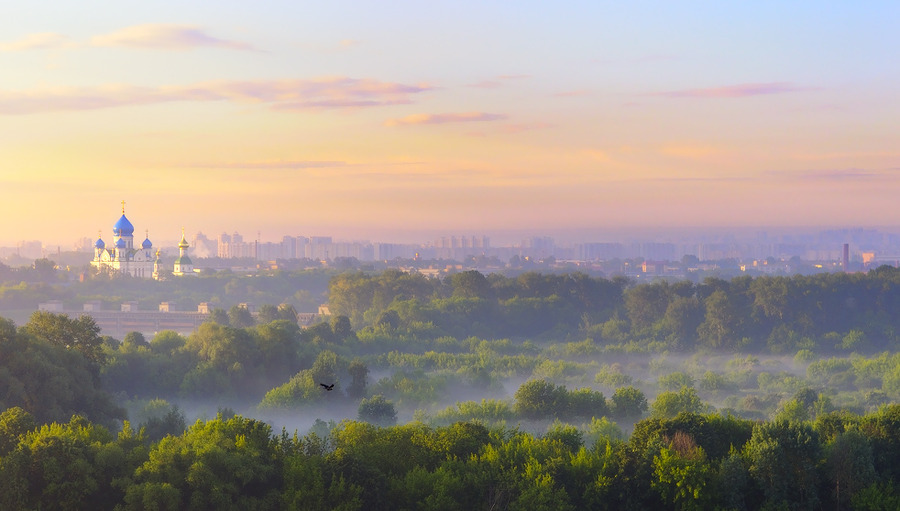 The first beams of dawn | panorama, trees, town, fog