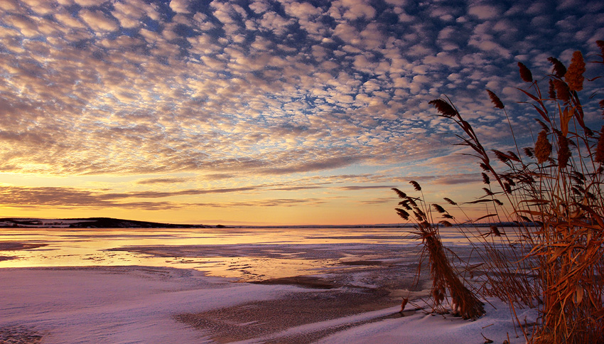 Winter wind | snow, river, winter