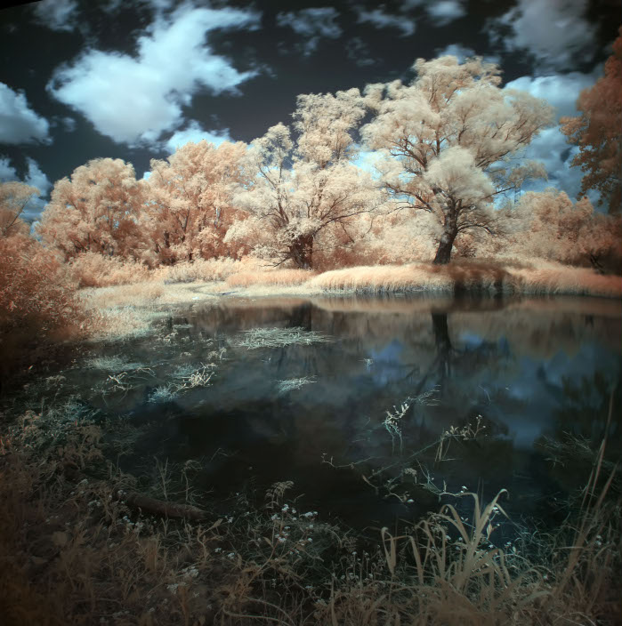 Infrared | lake, infrared, trees