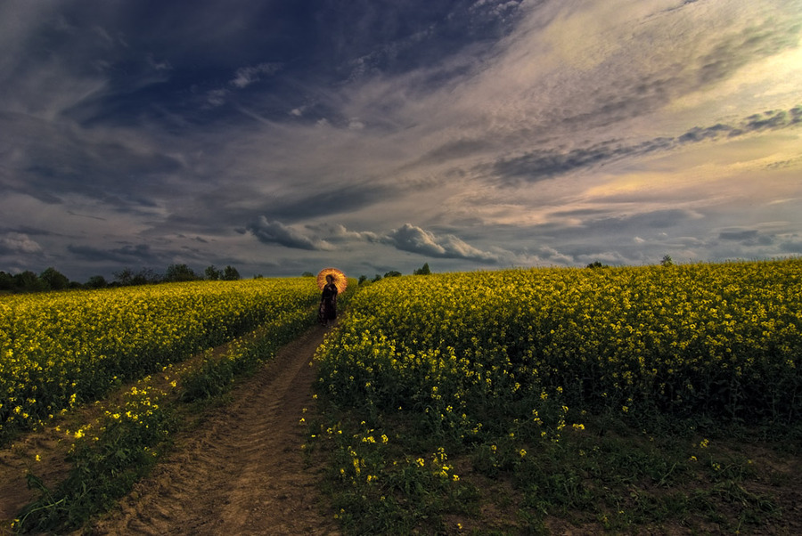 Rape at bloom | people, flowers, field, sky