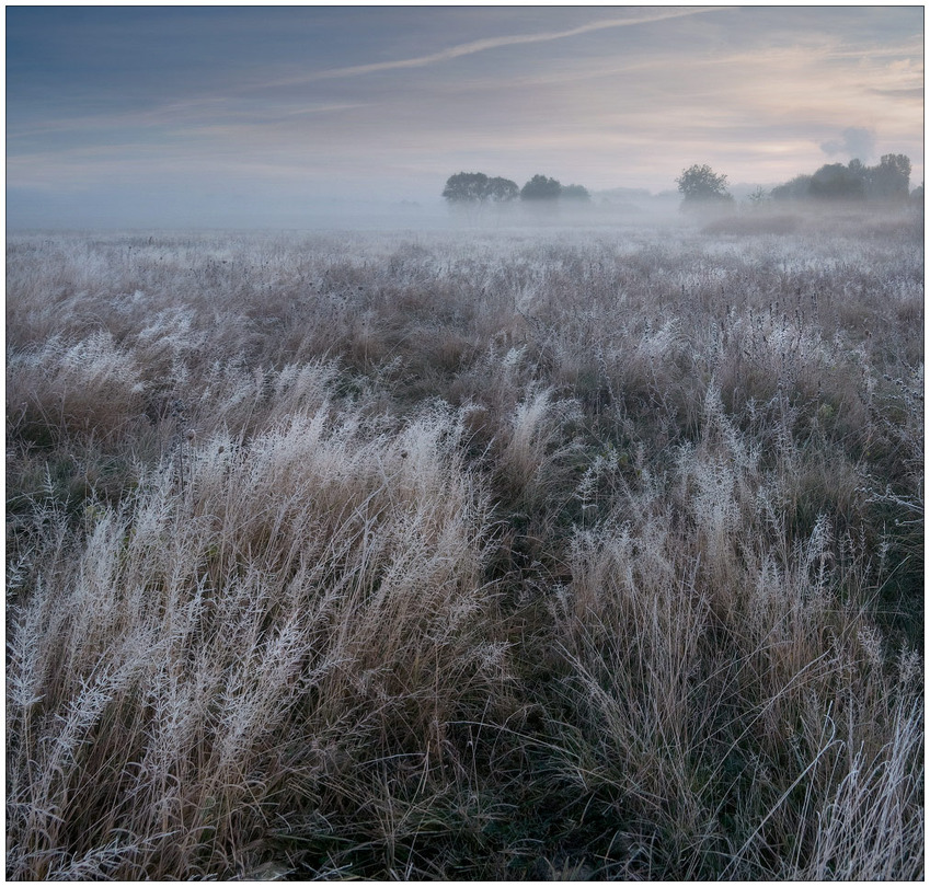 The breath of grass | field, hoarfrost, fog