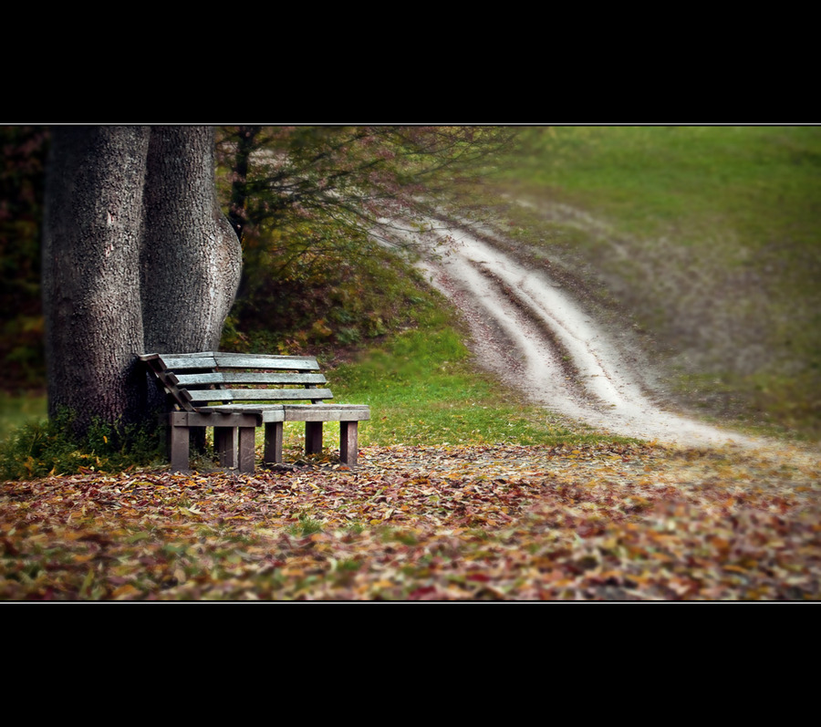 For the road | autumn, pathway