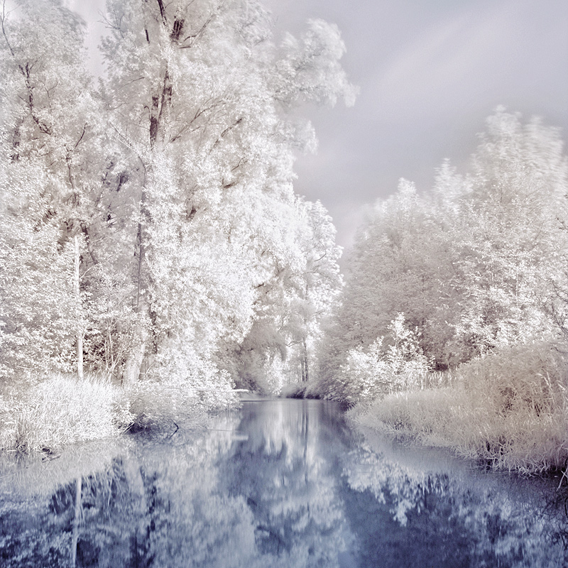 Fairytale | infrared, trees, water