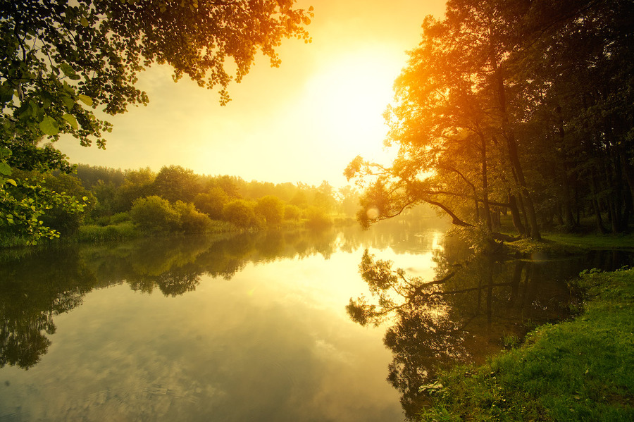 Awakening | sun, lake, forest