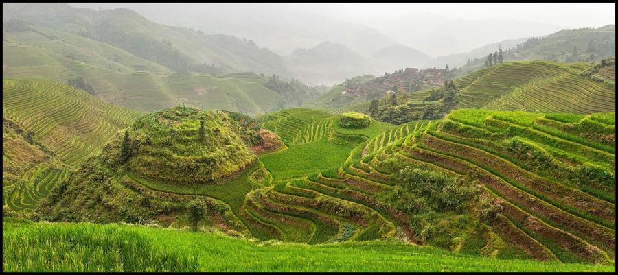 Longsheng Rice Terrace | valley, panorama, fog