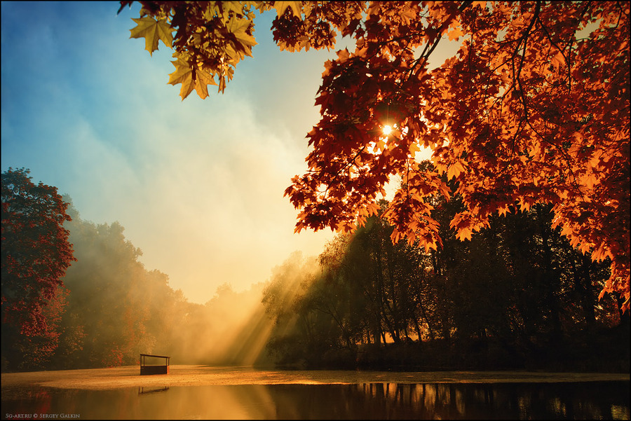 Gold | lake, autumn, sunlight