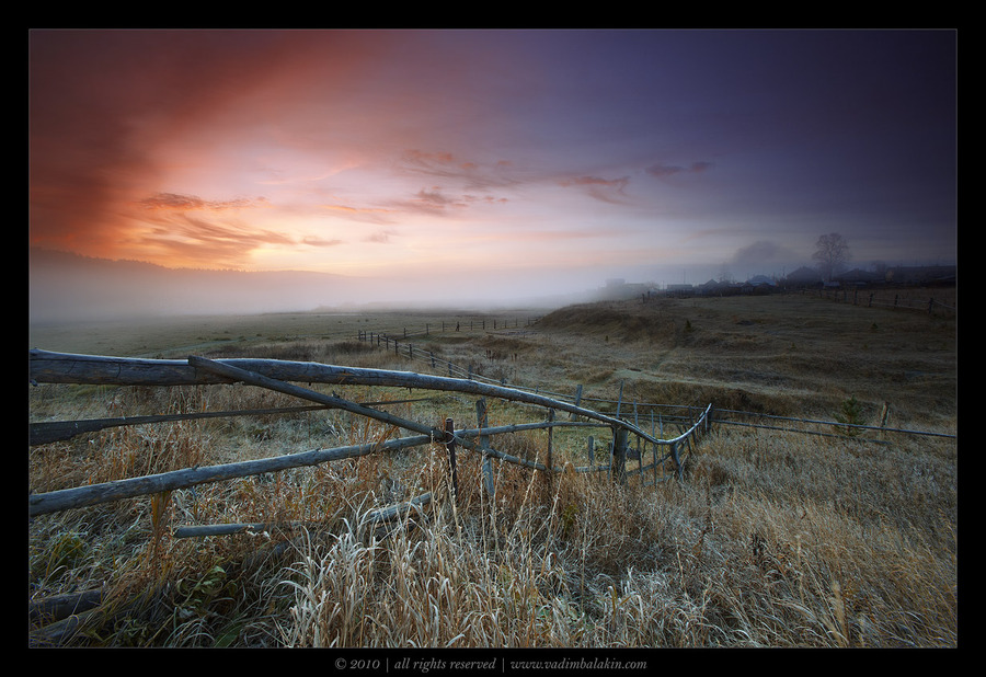 Invasion | panorama, field, dawn, fog