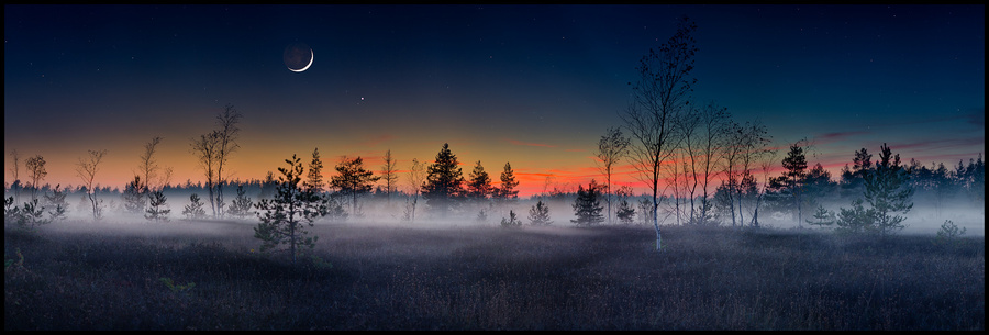 Fairytale | trees, night, panorama, fog