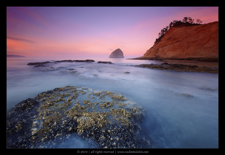 Cape Kiwanda at sunrise | sea, foam, rocks