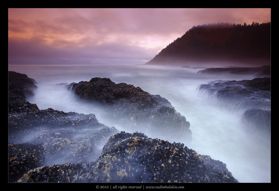 Cook's Chasm | mist, sea, surf