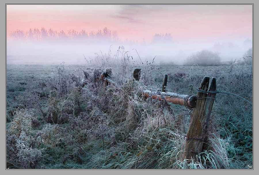 Pink coolness | evening, haze, mist, dusk, sunset, sky, field, grass, fog