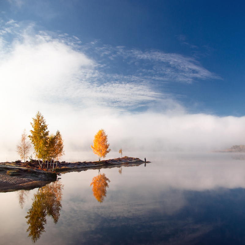 The autumn peninsula | trees, sky, reflection