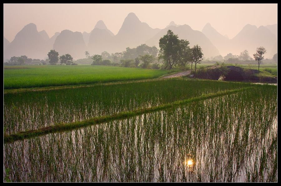 The rice fields of Yangshuo | haze, field