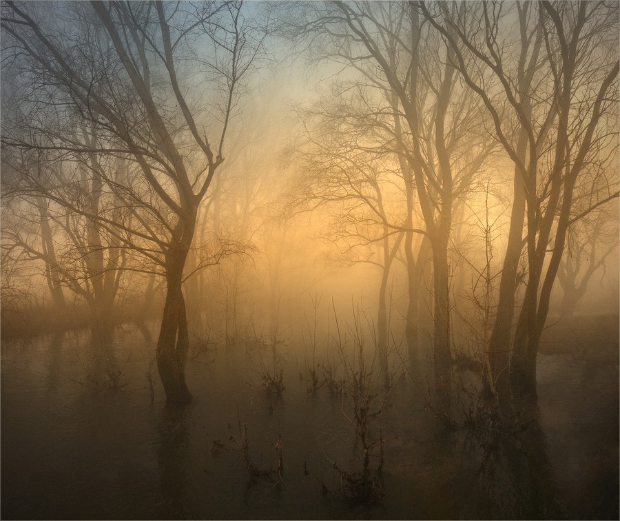 By a magic river | trees, river, silhouette, fog