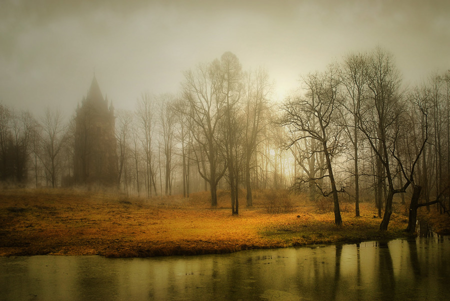 Illusive bank | shore, water, trees, mist, reflection, river, fog