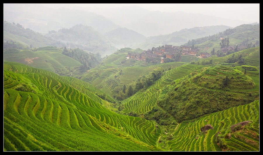 Over rice terraces | mountains, haze, mist, green, rice terraces