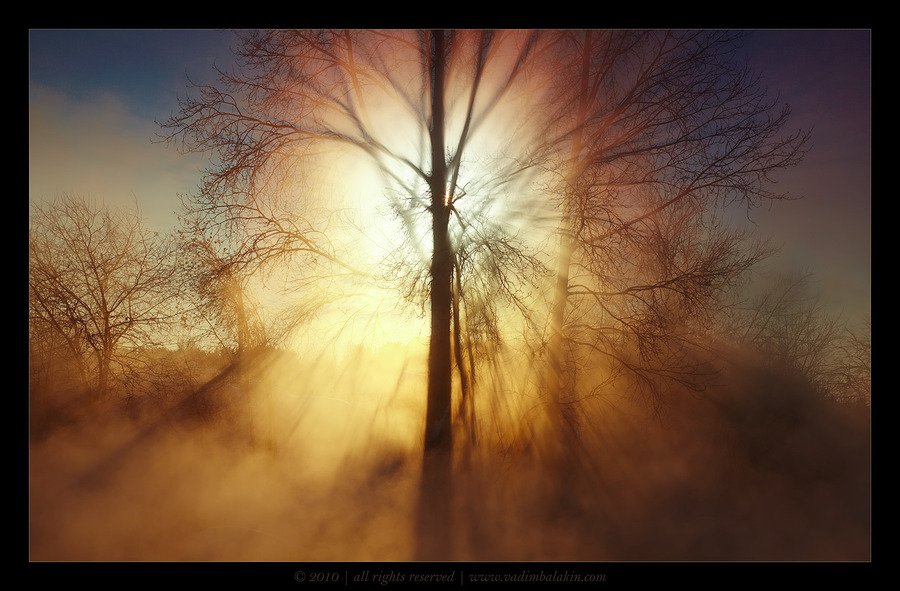 Beautiful irradiation | branches, tree, haze, mist, colourful, beams, light, sunlight, sun, fog