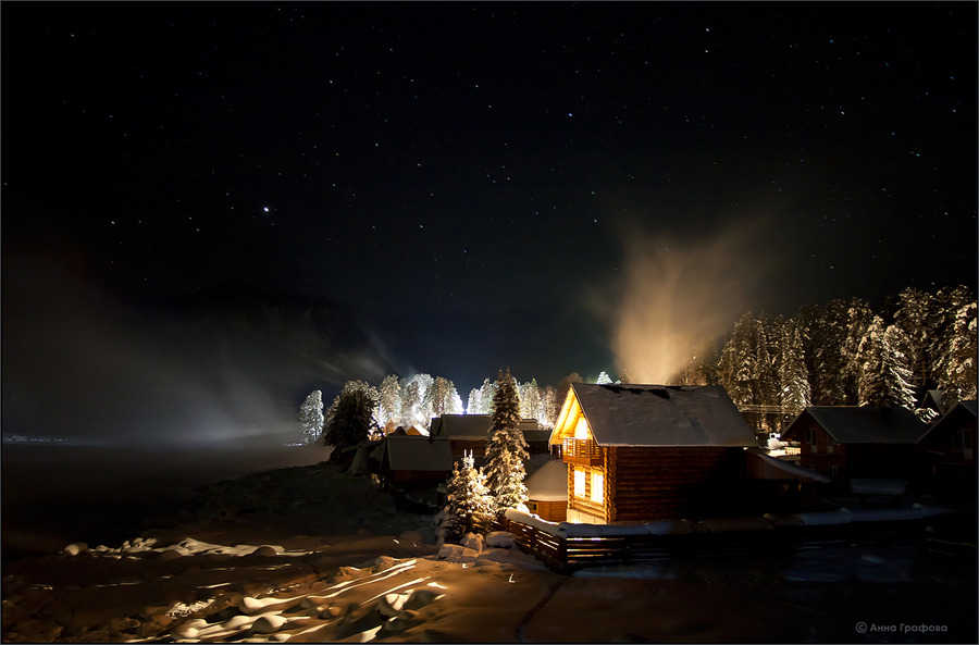 North night | village, trees, house, winter, hoarfrost, forest, sky, night, snow, pine