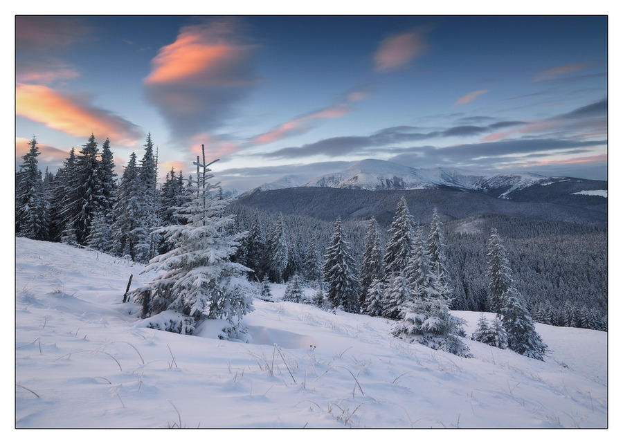 Snow-covered mountains | evening, mountains, trees, dusk, sunset, winter, forest, sky, clouds, snow, pine