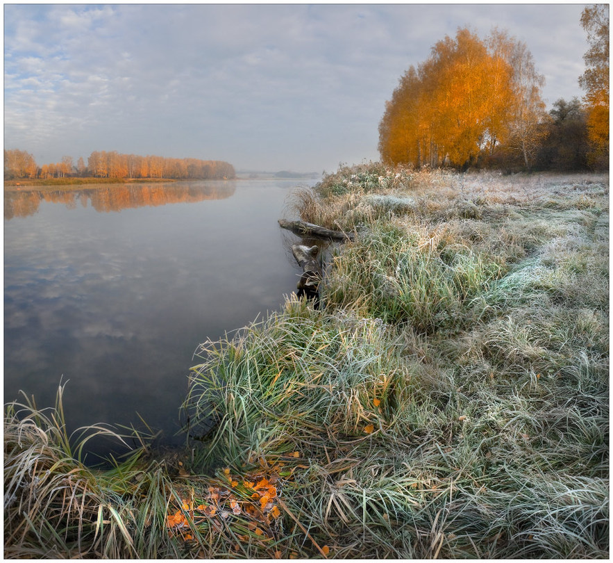 The first hoarfrost | shore, hoarfrost, autumn, grass