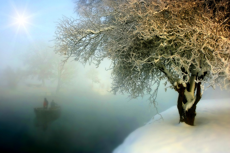 Sailing out of the mist  | tree, mist, winter, people