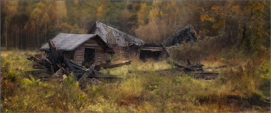 Forsaken house | house, forest, ruins 